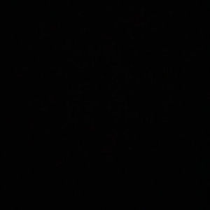 Meet your Posher, Rico